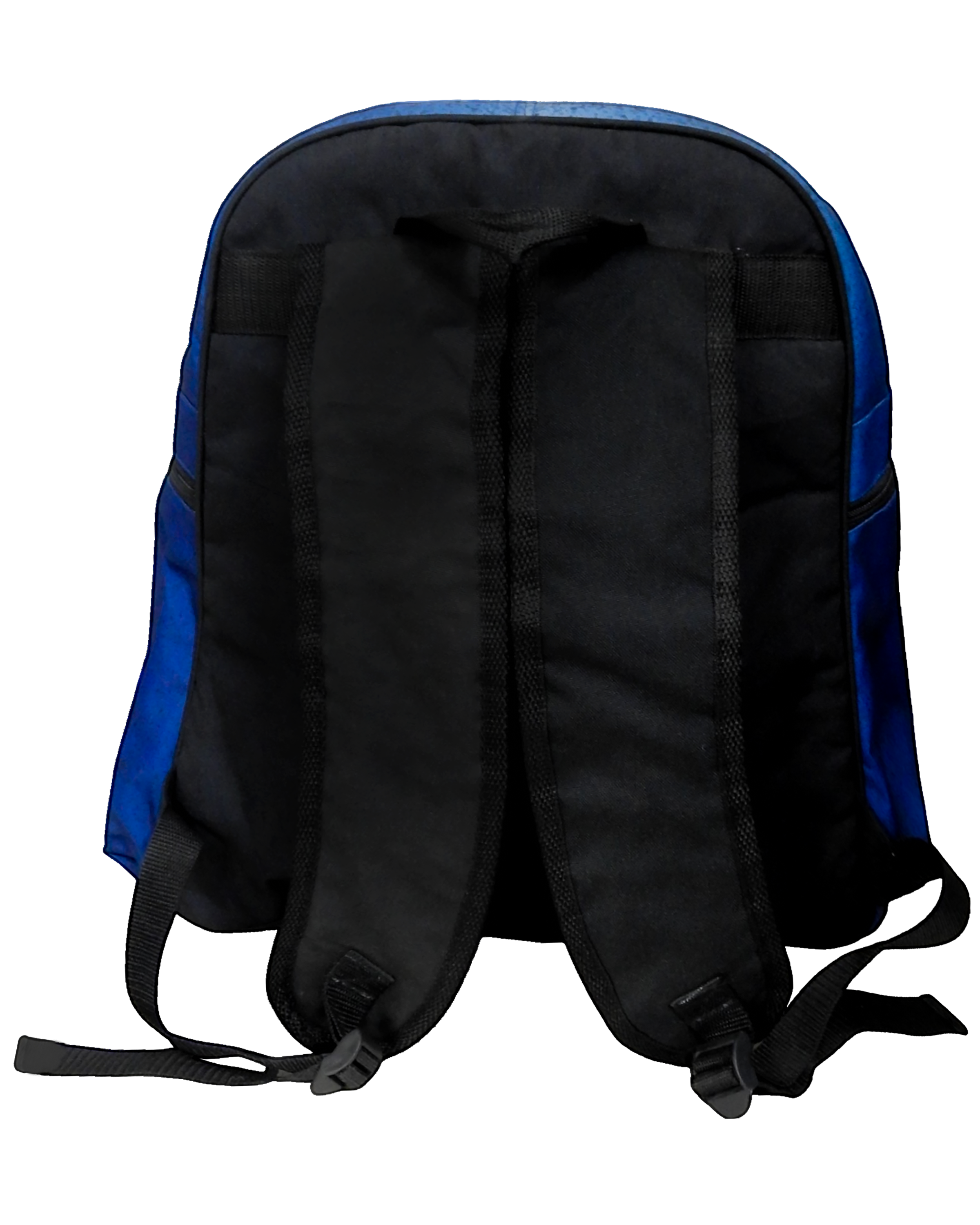 Large Backpack (18" x 17" x 9")