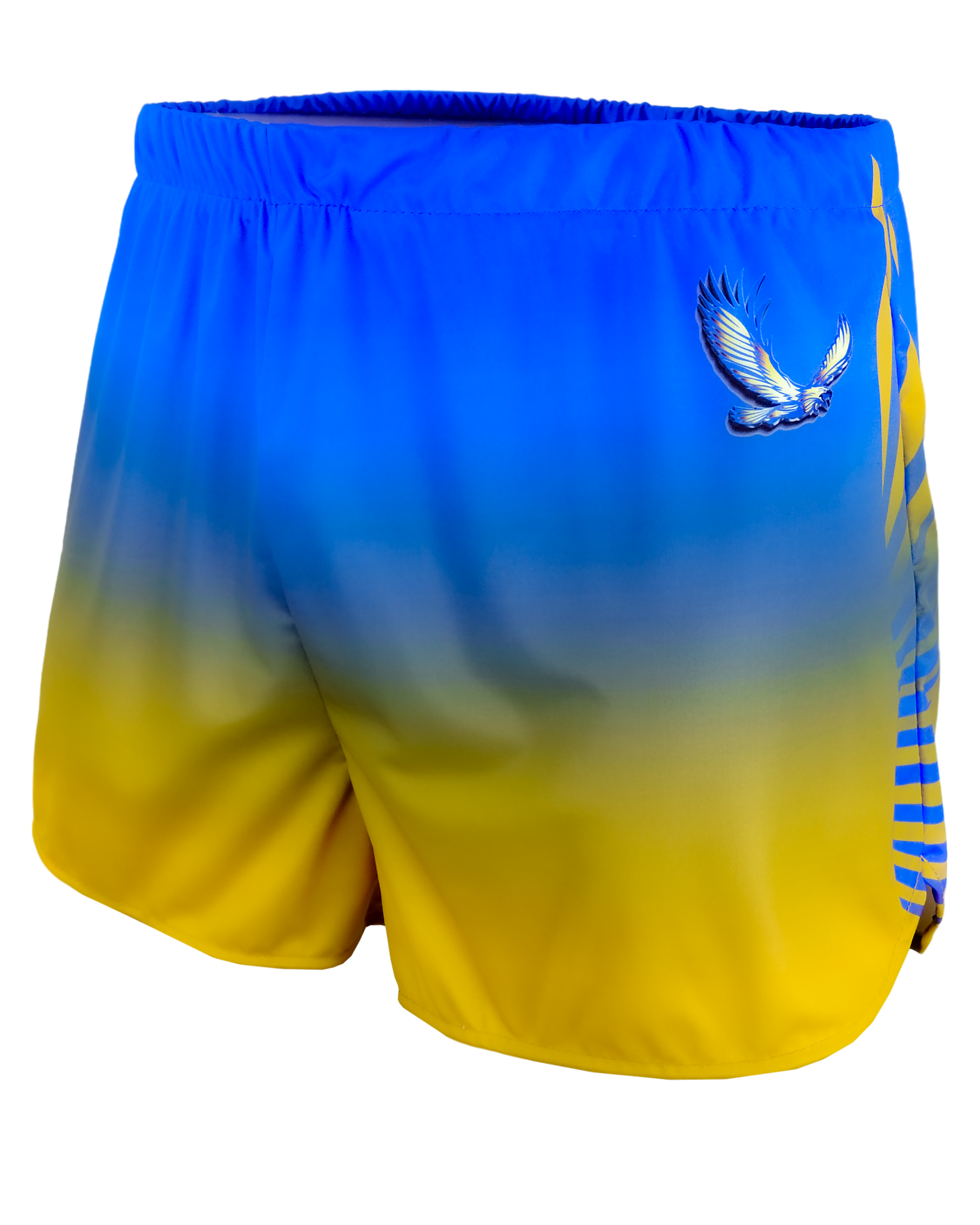 Track Shorts w/ Liner