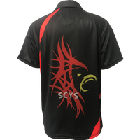 Vision Polo